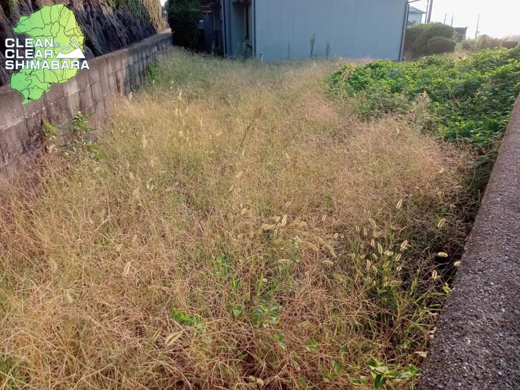 島原市有明町より草刈り事例