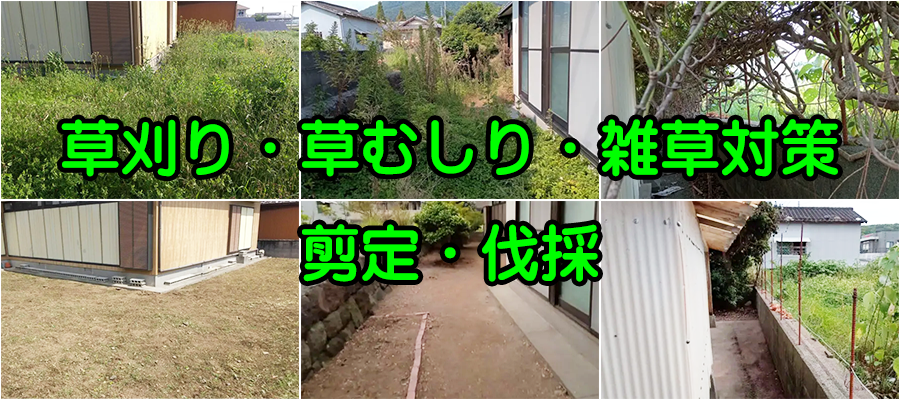 草刈り・草むしり・雑草対策