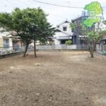 島原市白山地区 草刈り 剪定 伐採 雑草対策