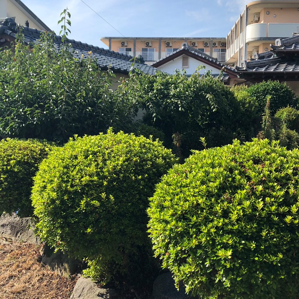 島原市森岳地区での雑草対策（草刈り・草むしり）・剪定のご依頼。ビフォー