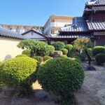 島原市森岳地区での雑草対策（草刈り・草むしり）・剪定のご依頼。アフター