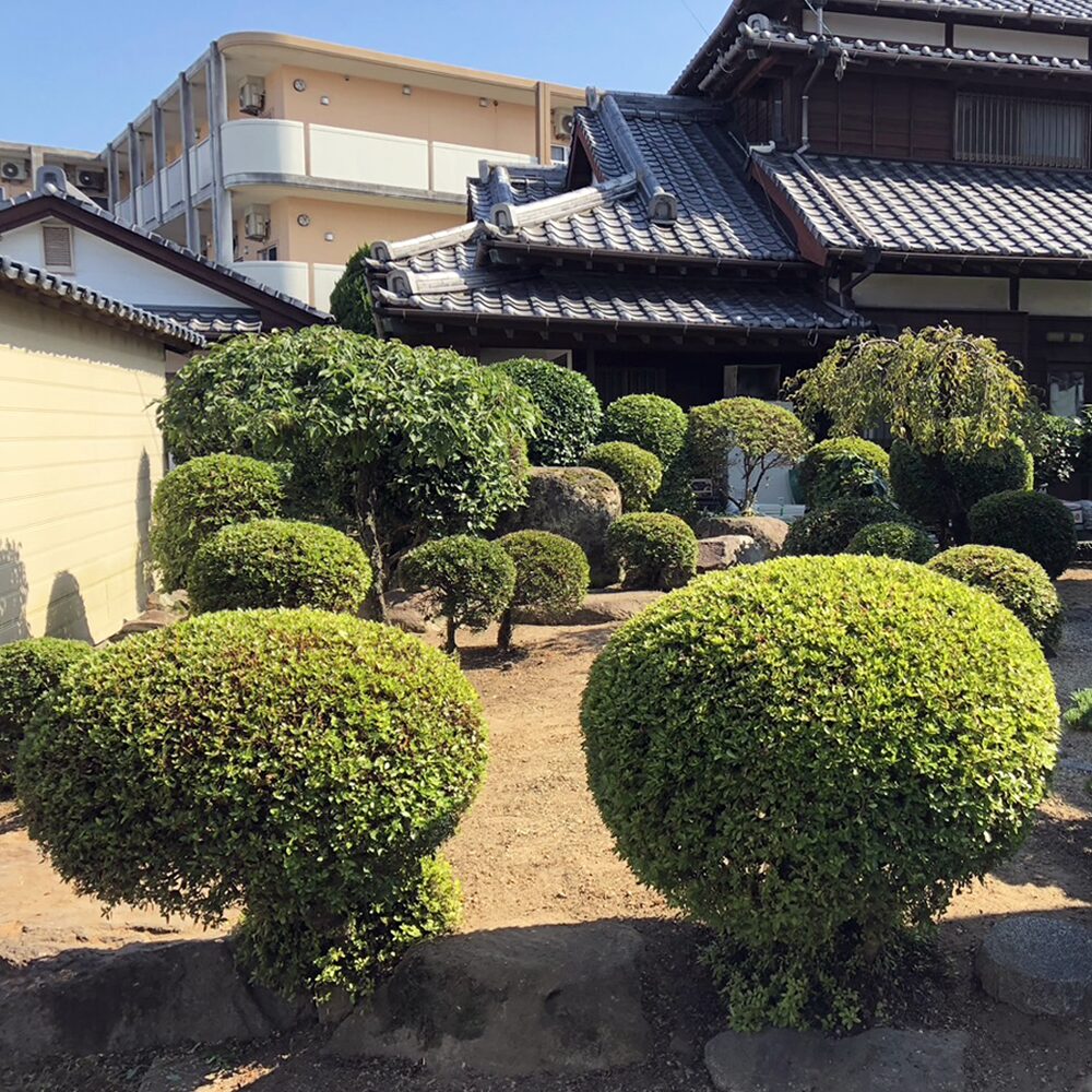 島原市森岳地区での雑草対策（草刈り・草むしり）・剪定のご依頼。アフター
