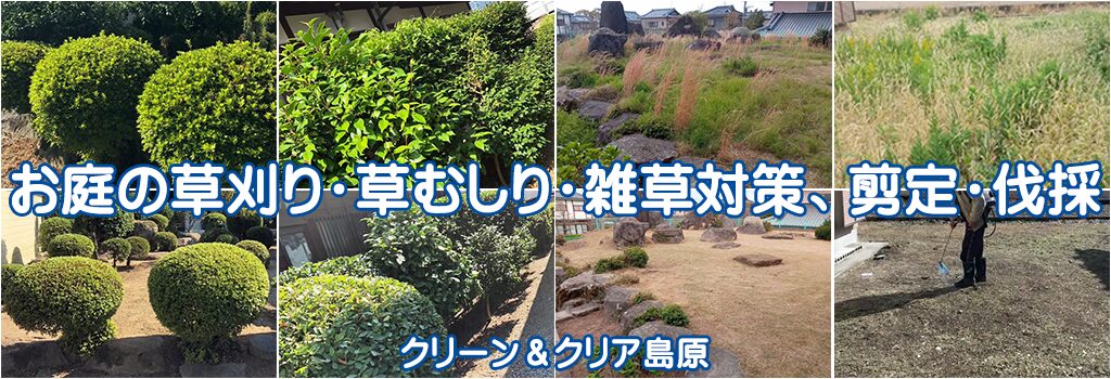 お庭の草刈り・草むしり・雑草対策、剪定・伐採